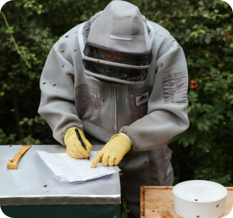 Beekeeper writting notes