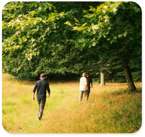 Beekeepers walking in field