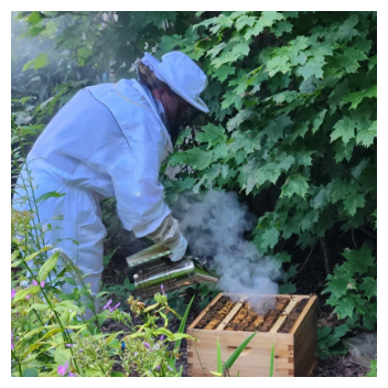 Beekeeper with her bees