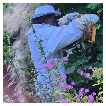 Beekeeper with her bees
