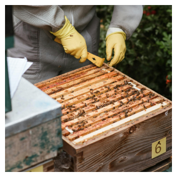 Beekeeper with her bees